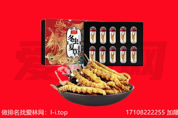 晋城回收虫草.jpg